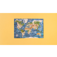 Micropuzzel Discover the World